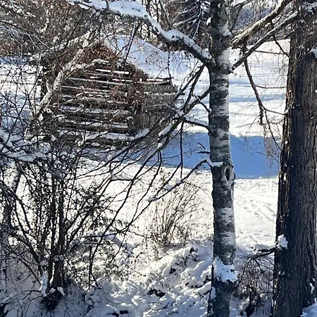Small Attic Close To And Mountains * Fussach
