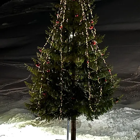 Appartement Small Attic Close To And Mountains Fussach