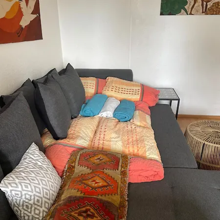 Small Attic Close To And Mountains Appartement Fussach