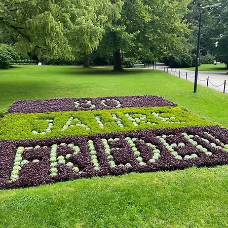 Small Attic Close To And Mountains * Fussach
