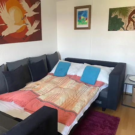 Appartement Small Attic Close To And Mountains Fussach