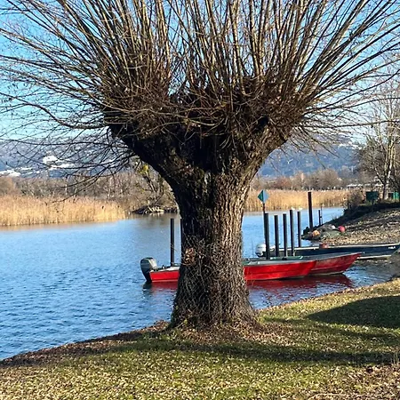 Small Attic Close To And Mountains Appartement Fussach