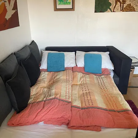 Small Attic Close To And Mountains Fussach