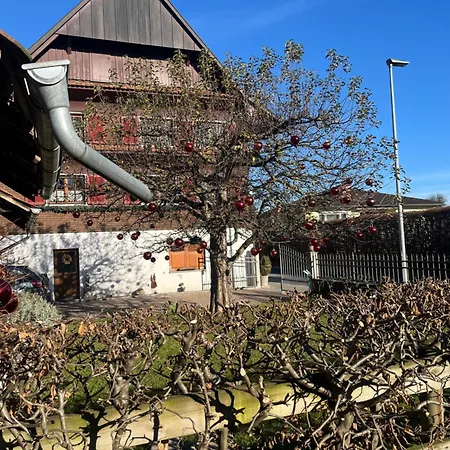 Appartement Small Attic Close To And Mountains Fussach
